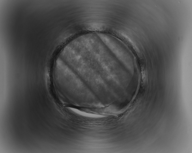 X0000091890688200709261640