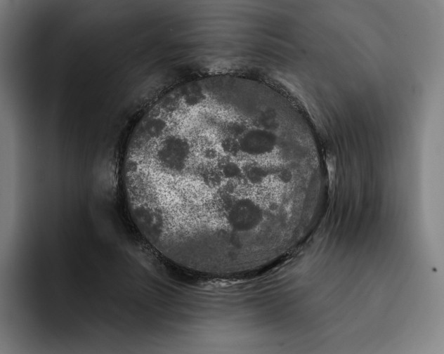 X0000091890691200709261640