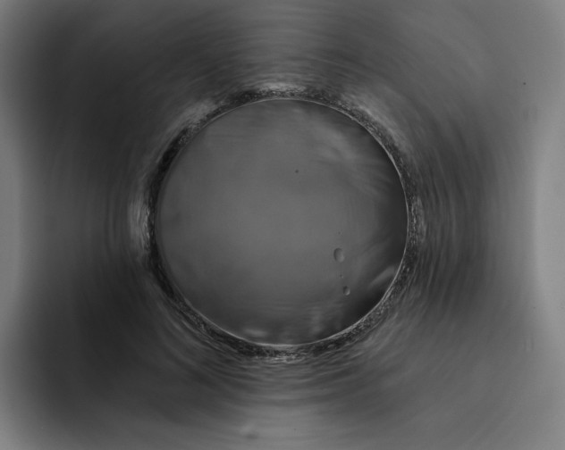 X0000091890692200709261640