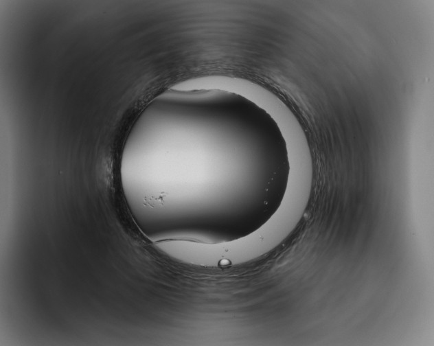 X0000091890693200709261640