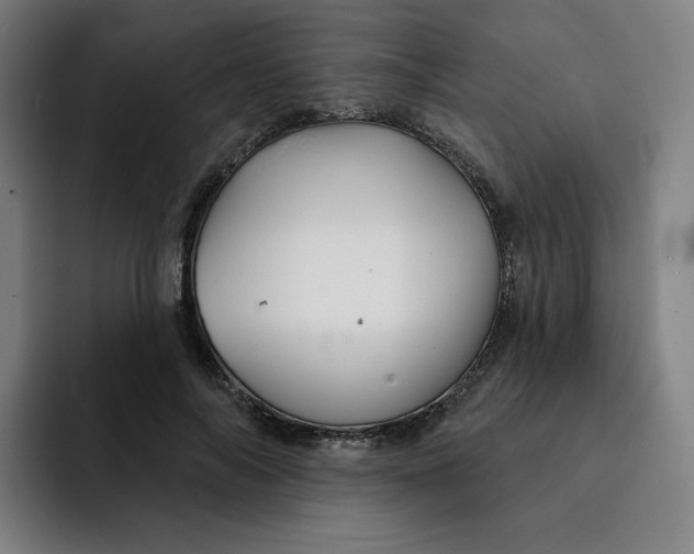 X0000091890694200709261640