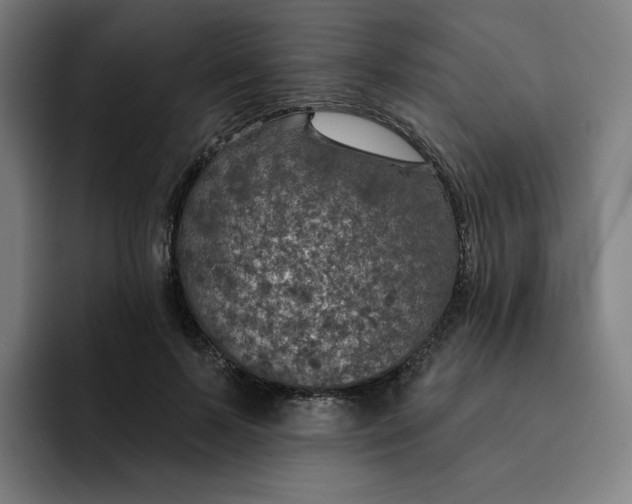 X0000091890695200709261640