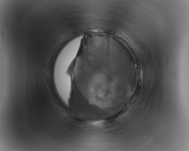 X0000091890696200709261640