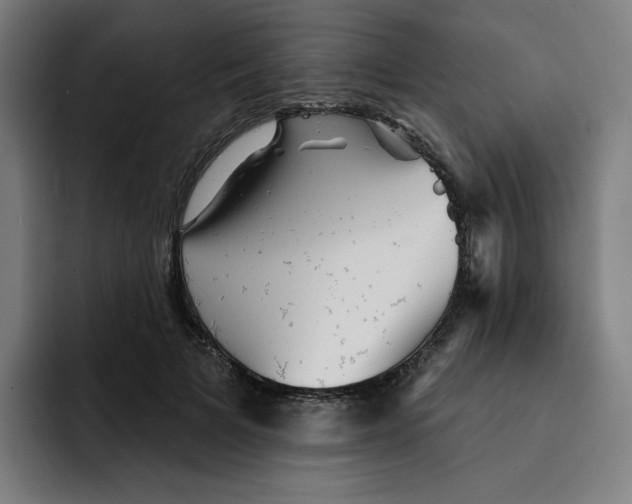 X0000091890697200709261640