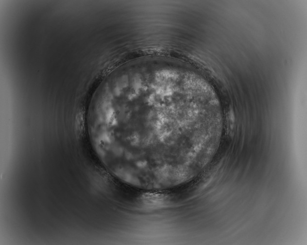 X0000091890699200709261640