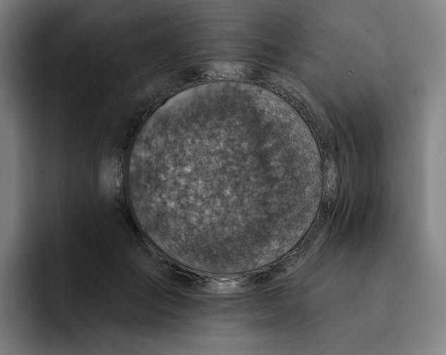 X0000091890701200709261640