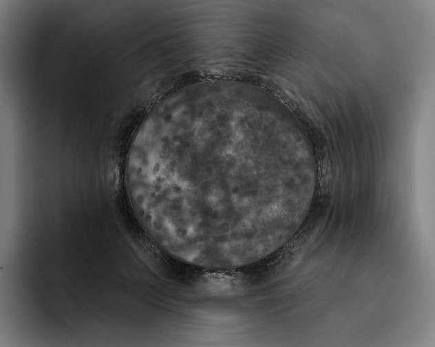 X0000091890703200709261640