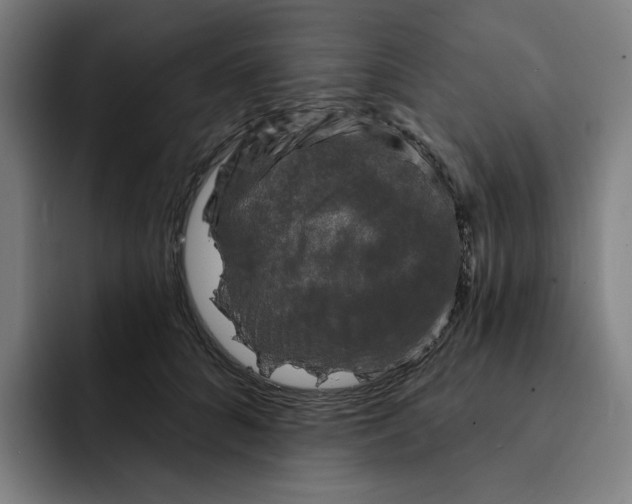 X0000091890704200709261639