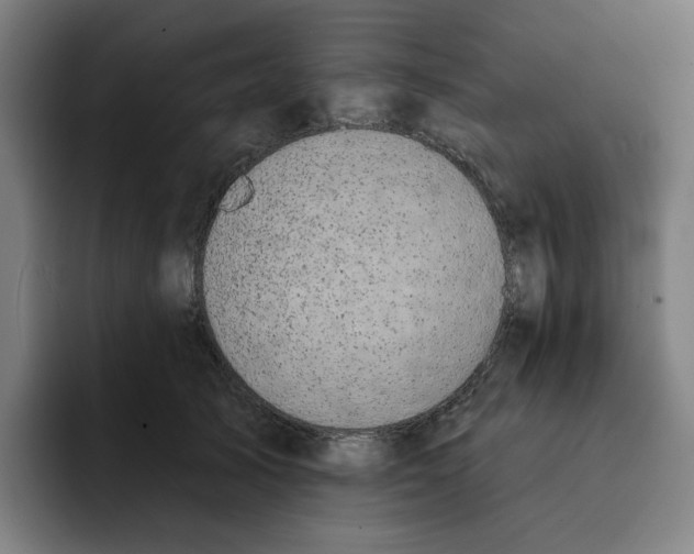 X0000091890705200709261639