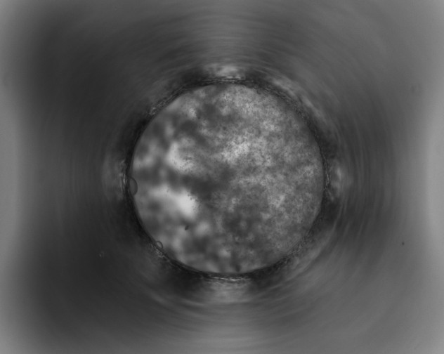 X0000091890707200709261639