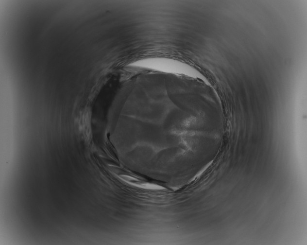 X0000091890708200709261639