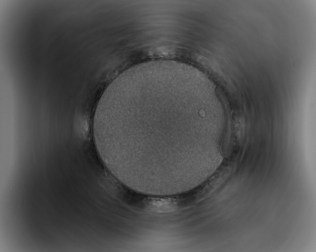 X0000091890709200709261639