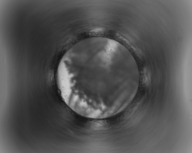 X0000091890711200709261639