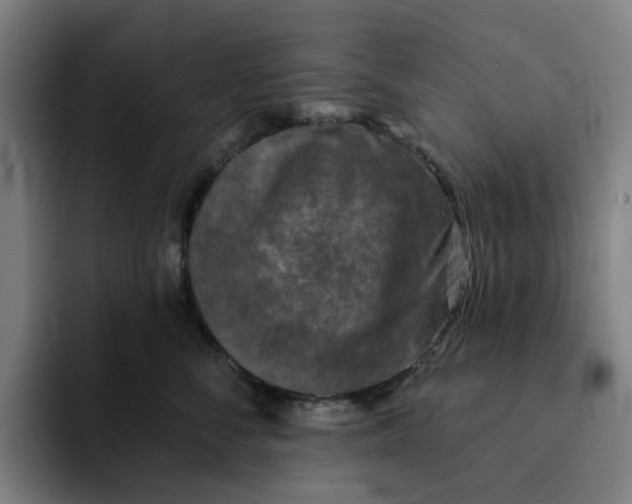 X0000091890716200709261639