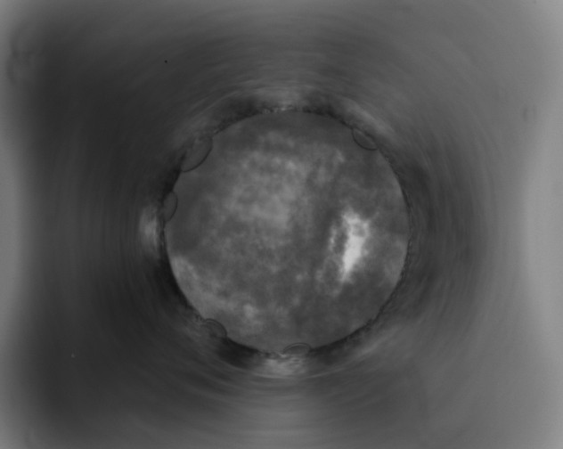 X0000091890720200709261639