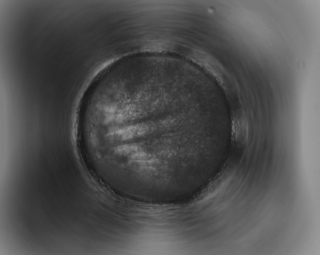 X0000091890724200709261639