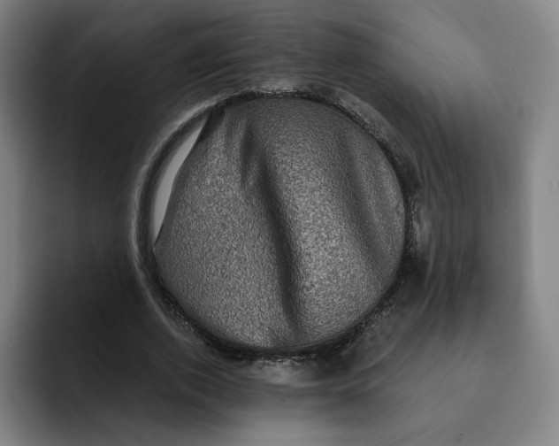 X0000091890728200709261639