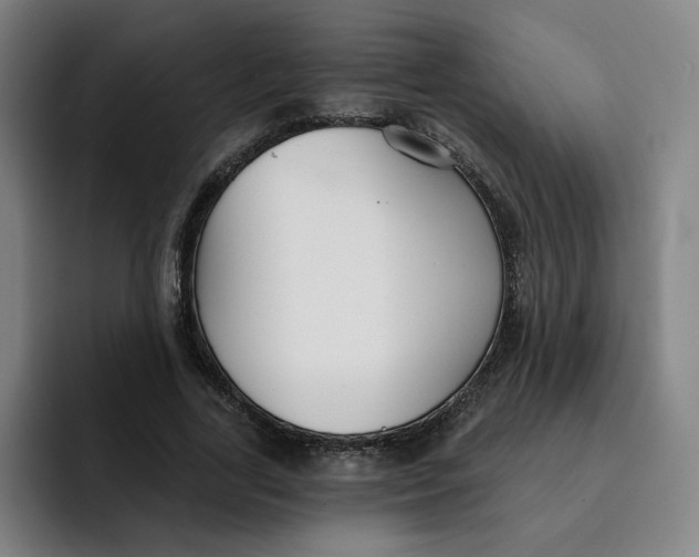 X0000091890731200709261639