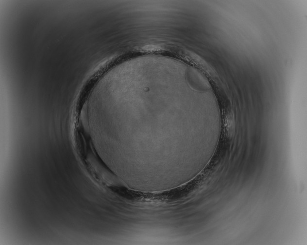 X0000091890732200709261639