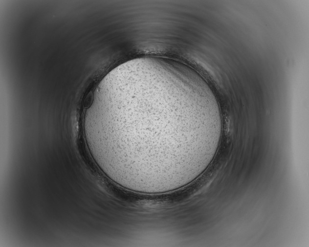 X0000091890733200709261639