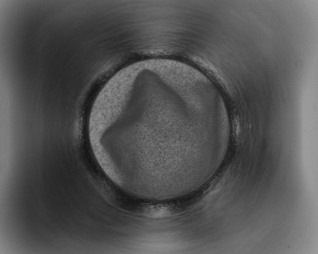 X0000091890735200709261639