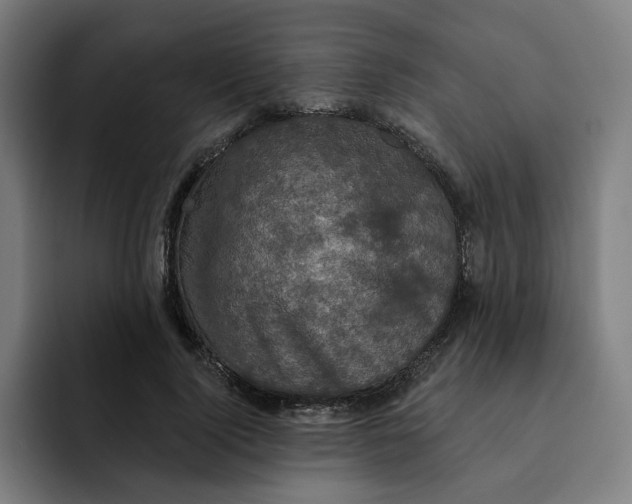 X0000091890740200709261639