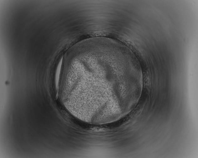 X0000091890742200709261639