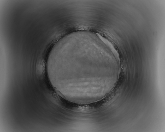 X0000091890744200709261639