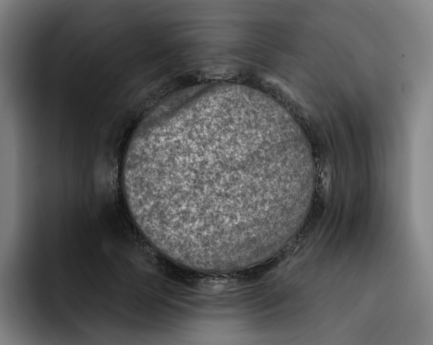 X0000091890745200709261639