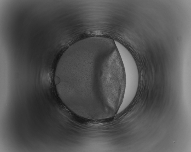 X0000091890747200709261639