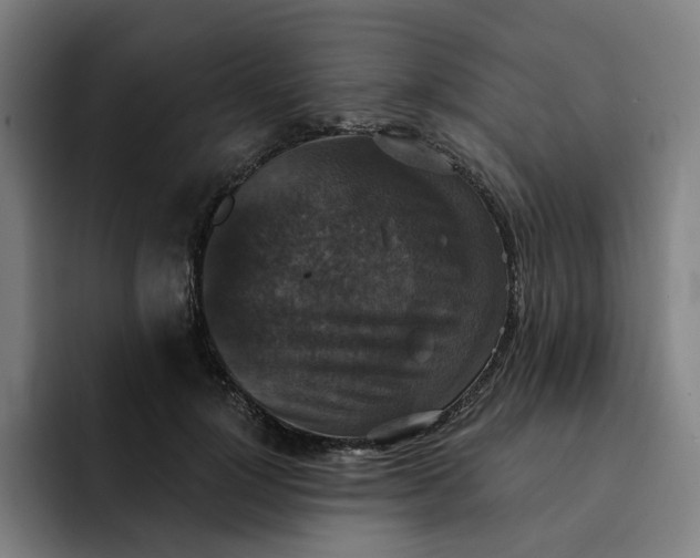 X0000091890748200709261639