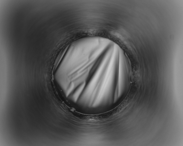 X0000091890750200709261639