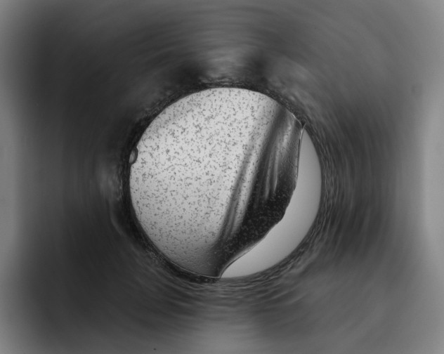 X0000091890751200709261639