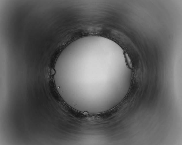 X0000091890752200709261639