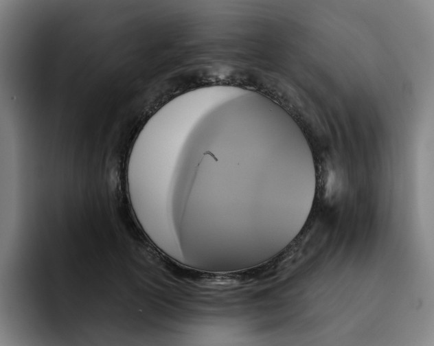 X0000091890754200709261639