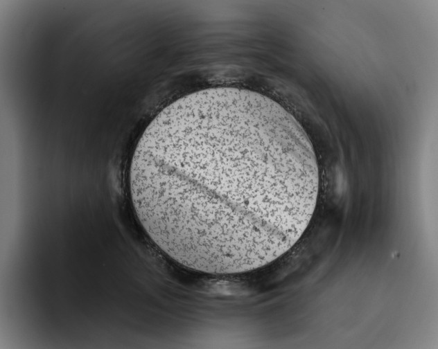 X0000091890755200709261639