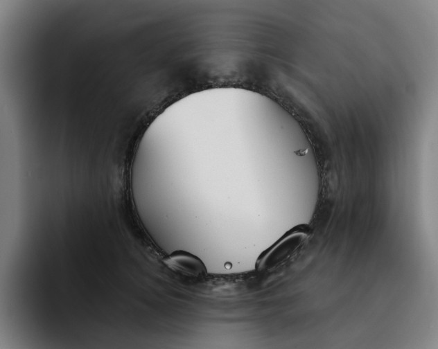 X0000091890756200709261639