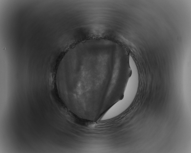 X0000091890759200709261639