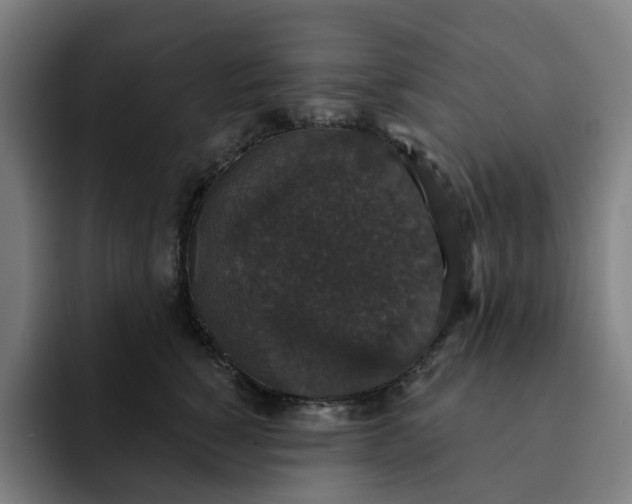 X0000091890760200709261639