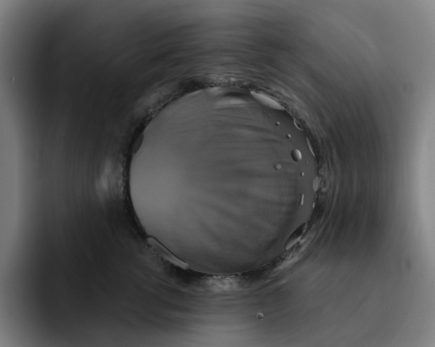 X0000091890762200709261639