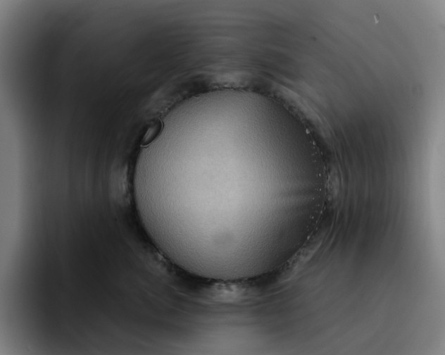 X0000091890764200709261639