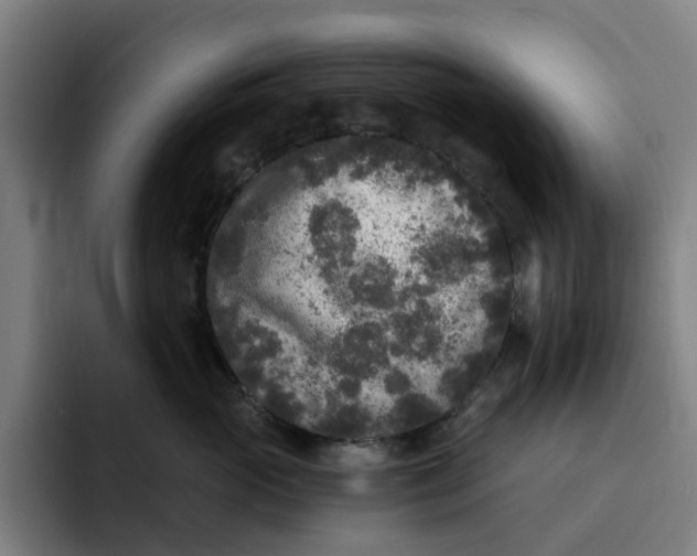 X0000091890765200709261639