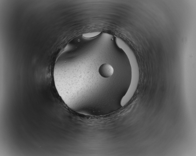 X0000091890771200709261639