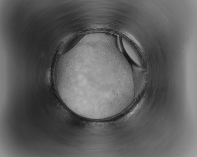 X0000091890777200709261638