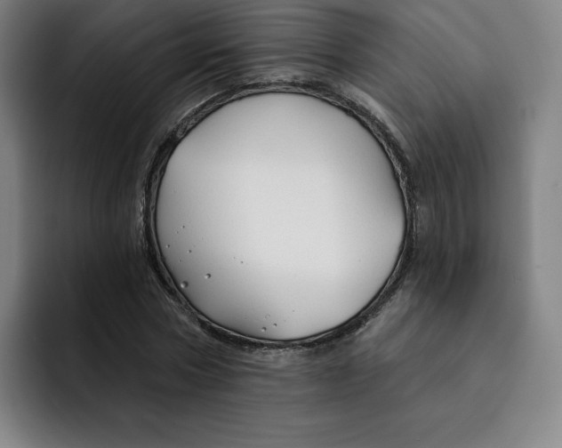 X0000091890778200709261638