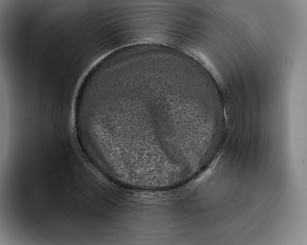 X0000091890780200709261638