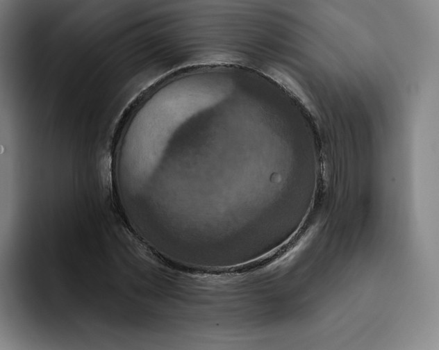 X0000091890781200709261638