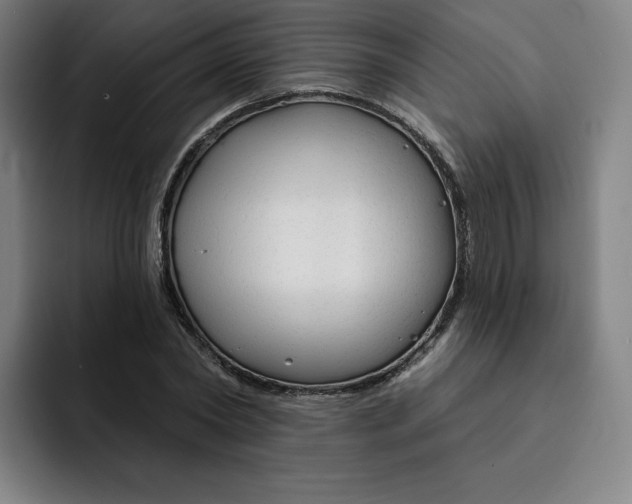 X0000091890782200709261638