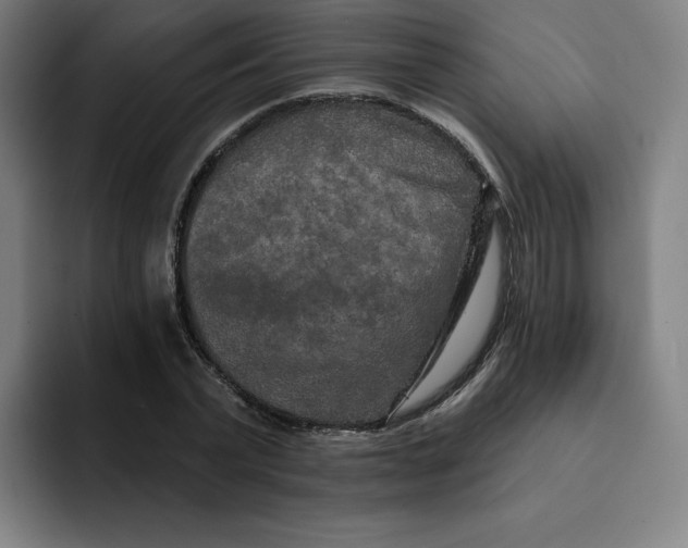 X0000091890783200709261638