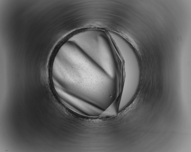 X0000091890784200709261638